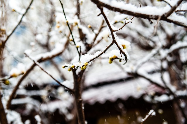 雷速