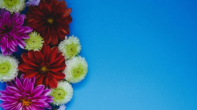 UOL：大罗将竞选巴西足协主席，并且批评巴西足协缺乏透明度.