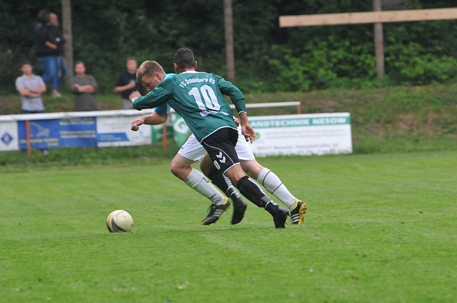 浓眉成为执 浓眉成为执