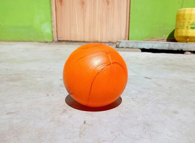 季特奥会 季特奥会