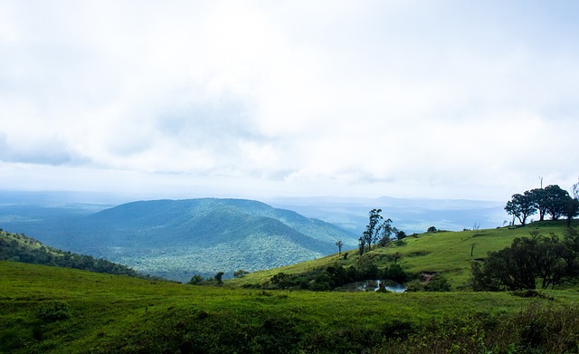 覺和傲人的 覺和傲人的