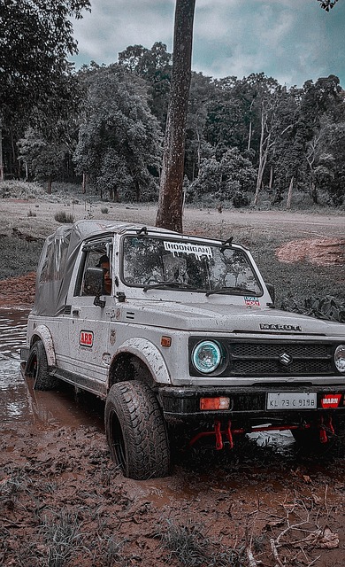 8秒05刷新个人PB，吴艳妮回应阿丽塔造型：我就是战斗天使.